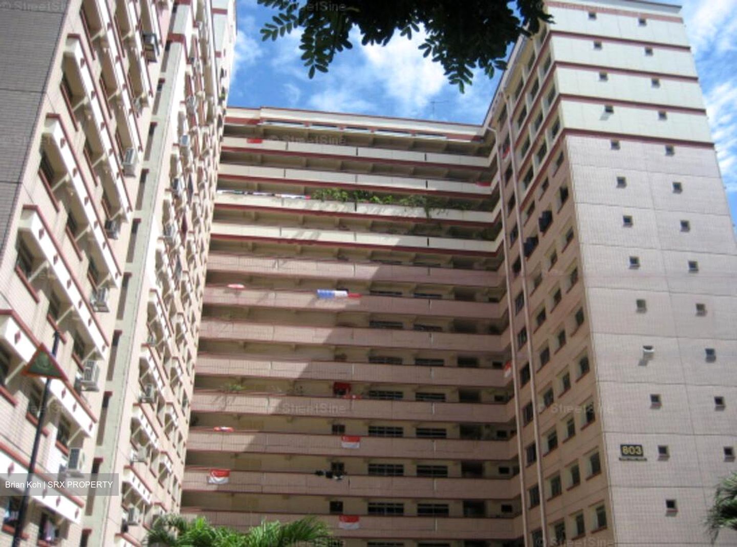 Blk 803 Ping-an Gardens (Bedok), HDB 5 Rooms #453894361